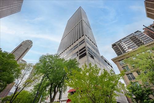 180 E Pearson Unit 5602, Chicago, IL 60611
