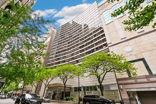110 E Delaware Unit 704, Chicago, IL 60611