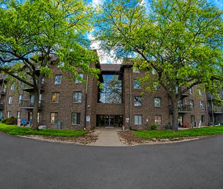 820 Elder Unit C314, Homewood, IL 60430