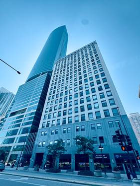 910 S Michigan Unit 1705, Chicago, IL 60605