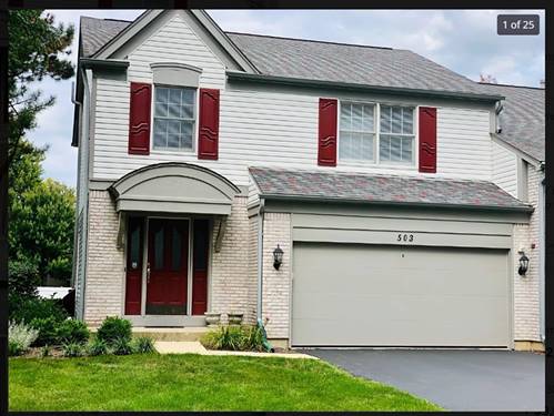 503 Orleans, Naperville, IL 60565