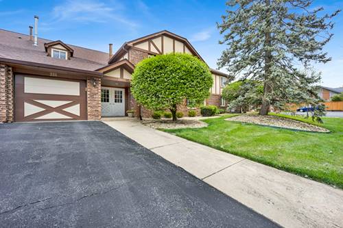 15502 Orlan Brook Unit 222, Orland Park, IL 60462