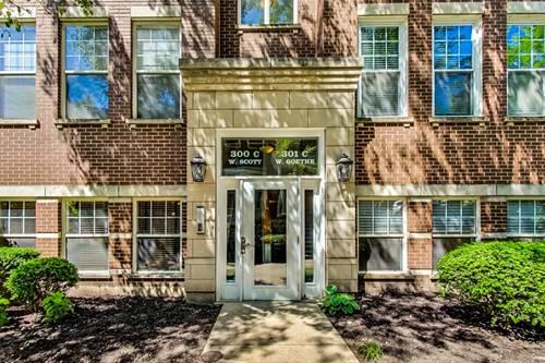 301 W Goethe Unit 304C, Chicago, IL 60610