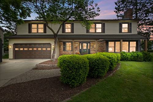 648 62nd, Downers Grove, IL 60516