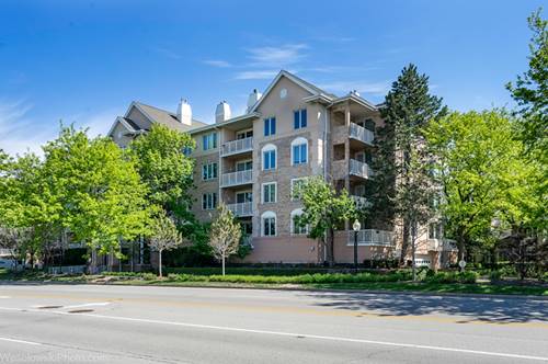 1705 Pavilion Unit 208, Park Ridge, IL 60068