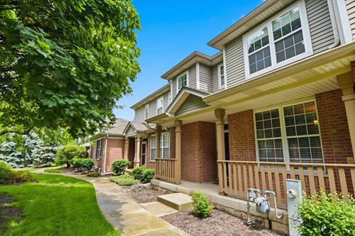 6727 Pine Lake Unit 6727, Tinley Park, IL 60477