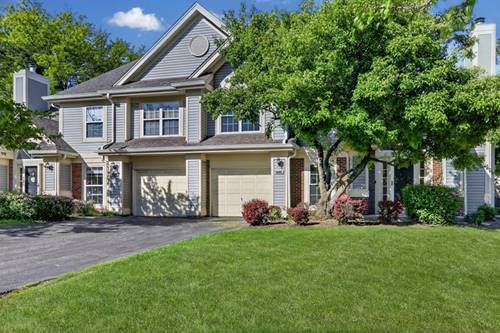 1282 Old Mill Unit 1282, Elk Grove Village, IL 60007