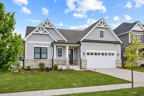 906 Cartwright, Schaumburg, IL 60193
