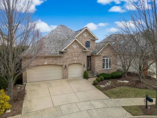 1187 Arborside, Aurora, IL 60502