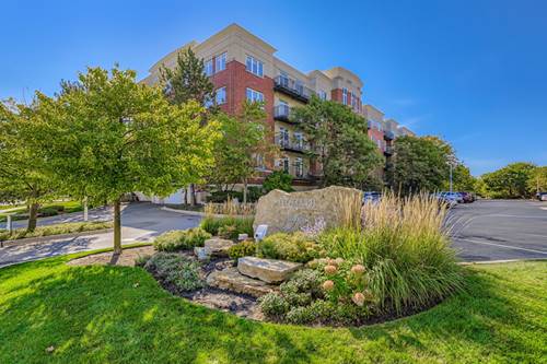 820 Weidner Unit 409, Buffalo Grove, IL 60089