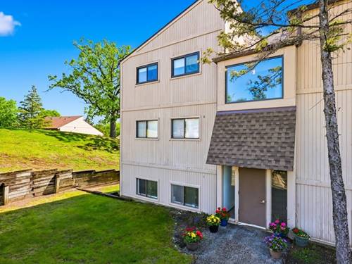 48 Oak Hill Colony Unit 9, Fox Lake, IL 60020