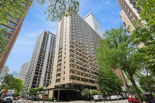 850 N Dewitt Unit 13H, Chicago, IL 60611