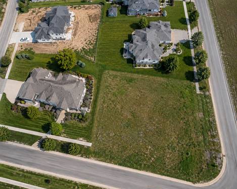 20696 Michigan Island, Frankfort, IL 60423