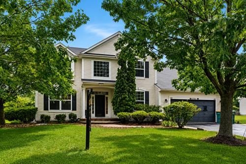 12716 S Meadow, Plainfield, IL 60585