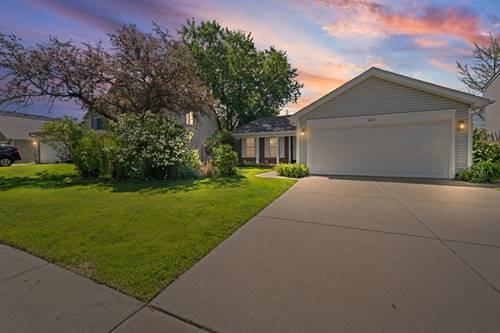 621 Cutter, Elk Grove Village, IL 60007