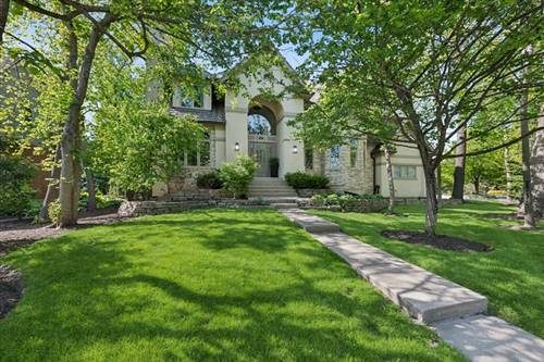 203 Crooked Tree, Naperville, IL 60565