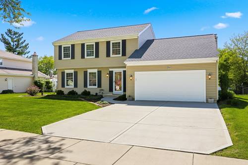 254 Woodville, Schaumburg, IL 60193