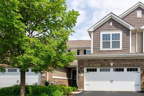 16134 W Coneflower, Lockport, IL 60441