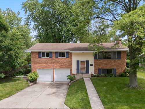 251 N Boynton, Palatine, IL 60074