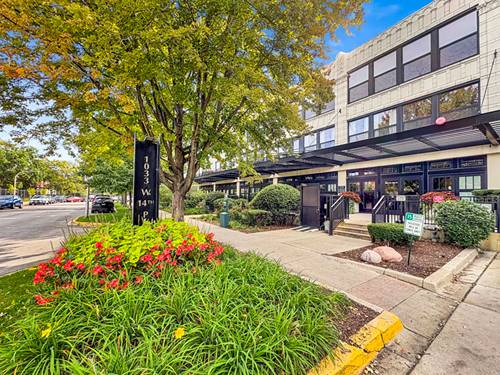 1033 W 14th Unit 115, Chicago, IL 60608