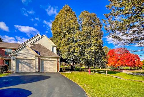 120 Inverness, Elk Grove Village, IL 60007