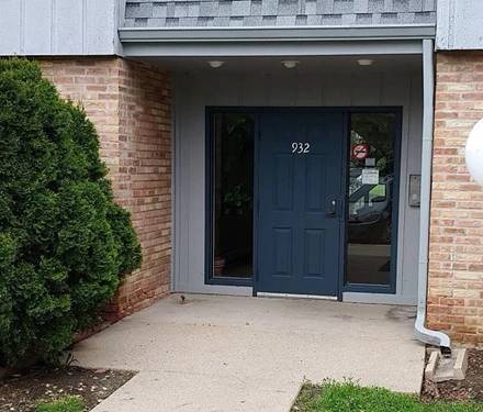932 E Old Willow Unit 102, Prospect Heights, IL 60070