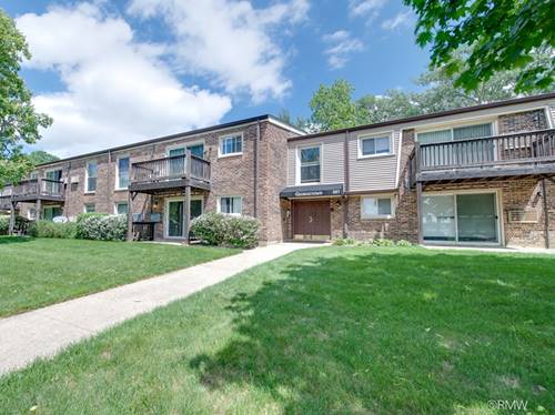337 N Carter Unit 101, Palatine, IL 60067