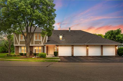 295 Coventry Unit 295, Vernon Hills, IL 60061