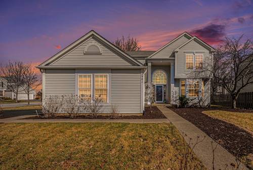 12901 Norwich, Plainfield, IL 60585
