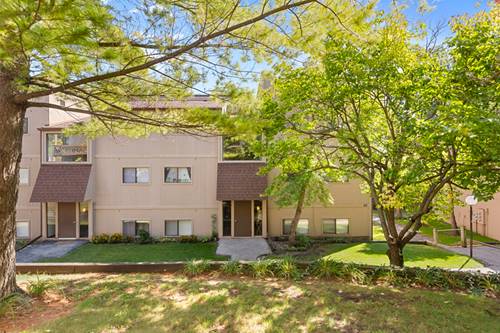 49 Oak Hill Colony Unit 12, Fox Lake, IL 60020