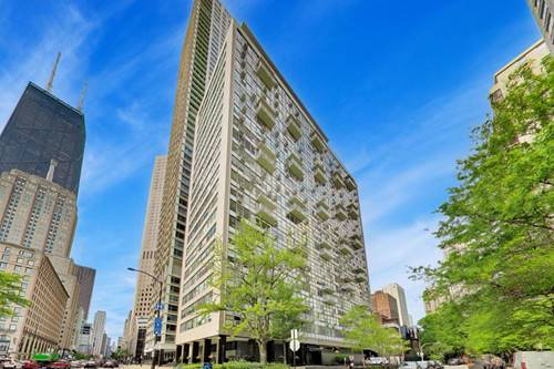 1000 N Lake Shore Unit 2205, Chicago, IL 60611