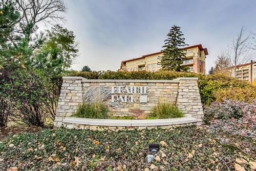 45 Prairie Park Unit 308, Wheeling, IL 60090