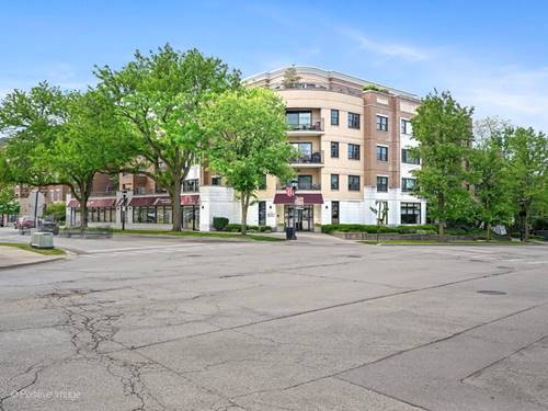 586 Crescent Unit 304, Glen Ellyn, IL 60137