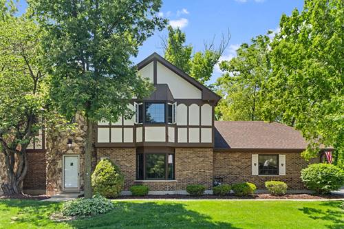 11716 S Black Forest, Palos Park, IL 60464