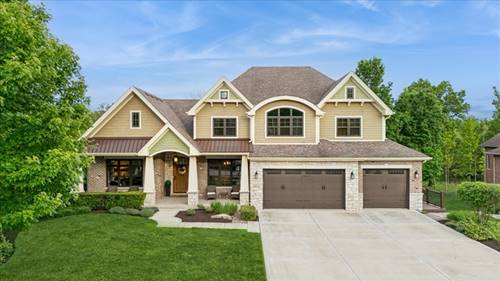 20063 Oakwood, Mokena, IL 60448