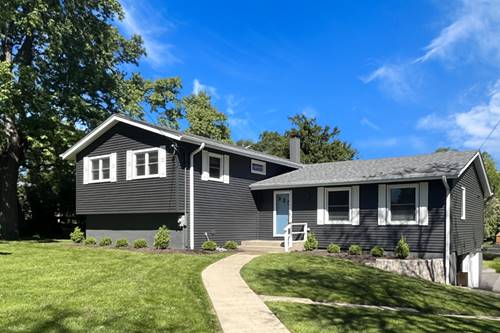 704 Plainfield, Downers Grove, IL 60516