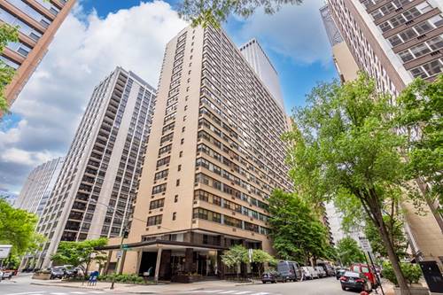 850 N Dewitt Unit 9AC, Chicago, IL 60611