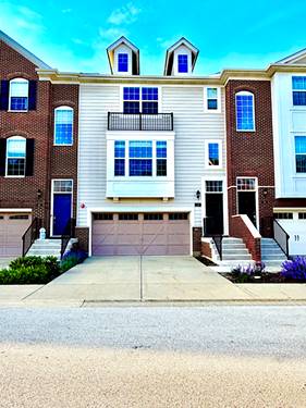 38 Neri, Schaumburg, IL 60194