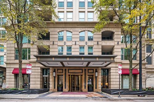 25 E Superior Unit 3601, Chicago, IL 60611