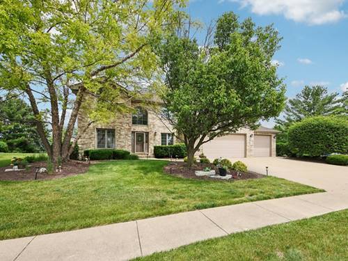 14100 W Anne K, Homer Glen, IL 60491