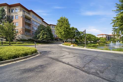 45 Prairie Park Unit 409, Wheeling, IL 60090