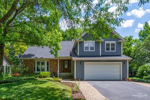 1234 Oakton, Naperville, IL 60540