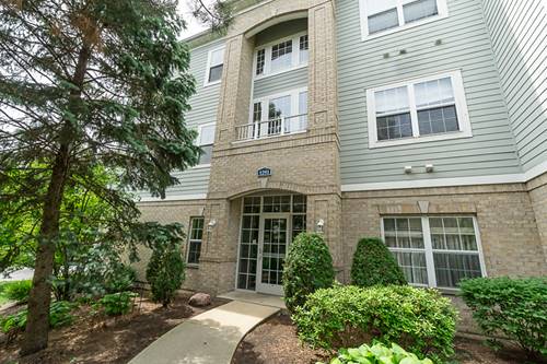 1291 W Lake Unit 103, Addison, IL 60101