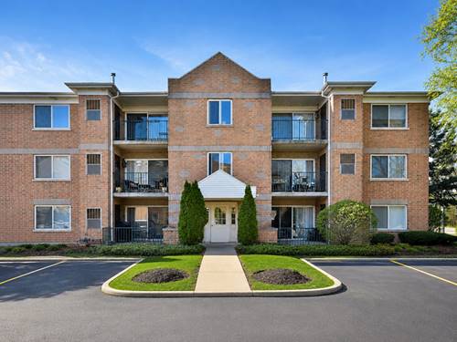 5351 N East River Unit 203, Chicago, IL 60656