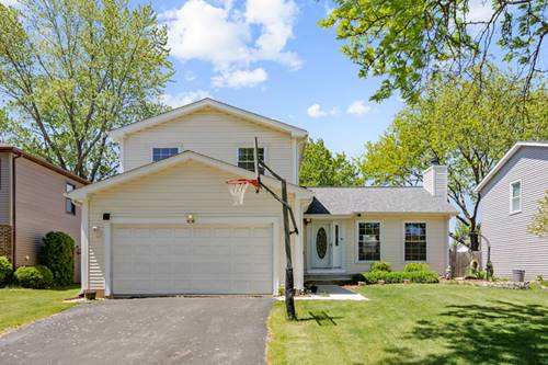 898 Debra, Elk Grove Village, IL 60007