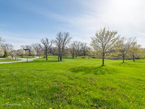 215 Oak Brook, Oak Brook, IL 60523