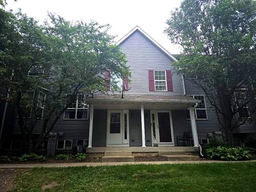 1369 Chestnut, Yorkville, IL 60560