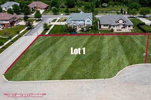 11650 Jones, Mokena, IL 60448