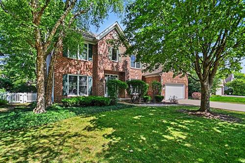 15235 Hamlin, Plainfield, IL 60544