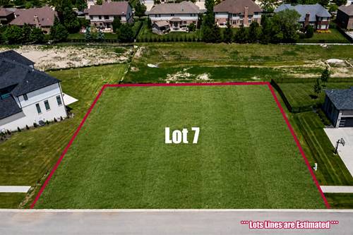 21608 Iron Bridge, Mokena, IL 60448